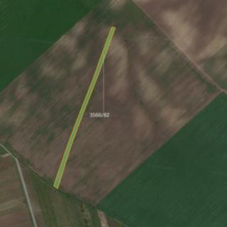 Prodej zemědělské půdy 8 286 m² Čejkovice