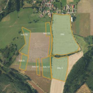 Prodej zemědělské půdy 60983 m² Borovná