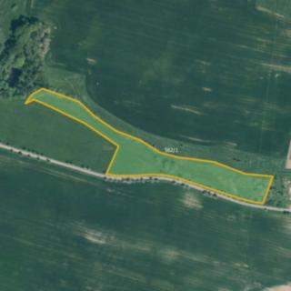 Prodej louky 21043 m² Trstěnice