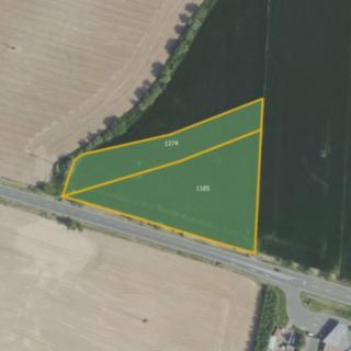 Prodej zemědělské půdy 8867 m² Suchdol