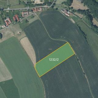 Prodej zemědělské půdy 5 936 m² Luboměř