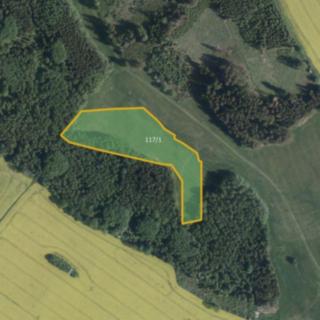 Prodej louky 16 864 m² Hořepník Mašovice