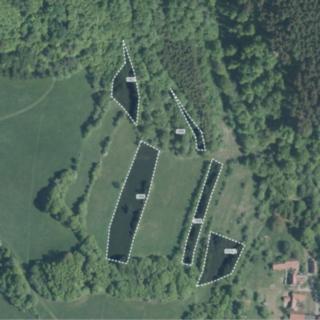 Prodej louky 3216 m² Lužná