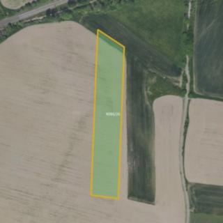 Prodej zemědělské půdy 4807 m² Benešov