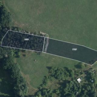 Prodej louky 2 158 m² Žumberk
