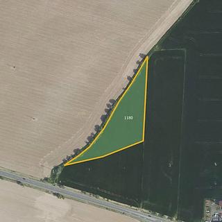 Prodej zemědělské půdy 6976 m² Suchdol