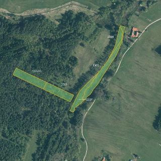 Prodej louky 17 380 m² Suchdol nad Lužnicí