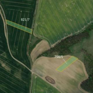 Prodej zemědělské půdy 17 754 m² Hoštice