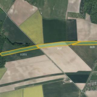 Prodej zemědělské půdy 99138 m² Bohuslavice