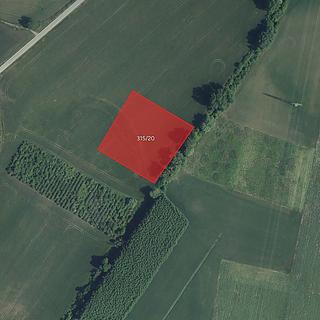 Prodej ostatních pozemků 7205 m&sup2; Přítluky