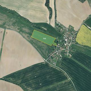 Prodej zemědělské půdy 10244 m&sup2; Neuměř