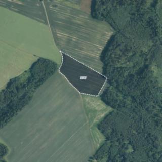 Prodej zemědělské půdy 35 246 m² Jindřichov