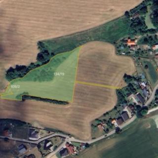 Prodej zemědělské půdy 11138 m² Lešany
