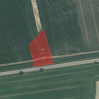 Prodej zemědělské půdy 6296 m&sup2; Určice