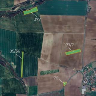 Prodej zemědělské půdy 37639 m² Černíky