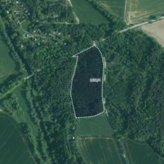 Prodej lesa 34 065 m² Římov Dolní Stropnice