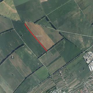 Prodej zemědělské půdy 8312 m&sup2; Mikulčice