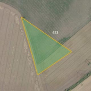 Prodej zemědělské půdy 13229 m² Veleň