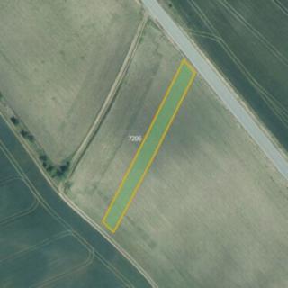Prodej zemědělské půdy 31579 m² Borkovany