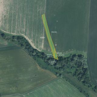 Prodej zemědělské půdy 6046 m² Kněždub