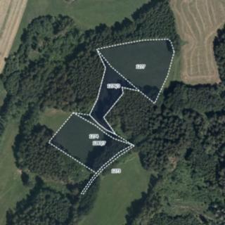 Prodej louky 14 976 m² Oldřiš