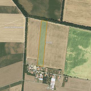 Prodej zemědělské půdy 32051 m&sup2; Hrušovany nad Jevišovkou