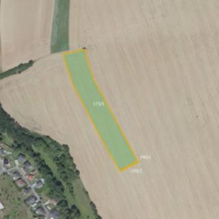 Prodej zemědělské půdy 32 918 m² Škvorec Třebohostice
