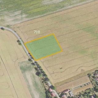 Prodej zemědělské půdy 7 430 m² Pavlíkov