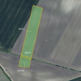 Prodej zemědělské půdy 9 810 m² Děčany