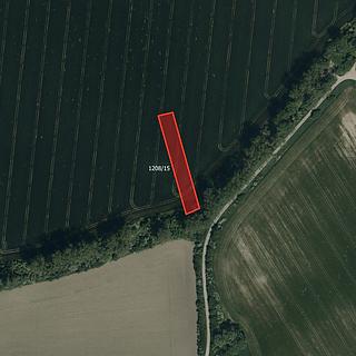 Prodej zemědělské půdy 3809 m&sup2; Kněždub