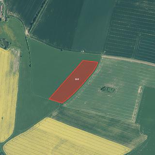 Prodej zemědělské půdy 7681 m&sup2; Mirovice