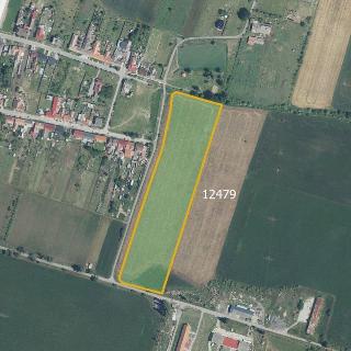 Prodej zemědělské půdy 28 700 m² Hrabětice