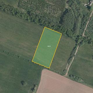 Prodej louky 10323 m&sup2; Dvůr Králové nad Labem