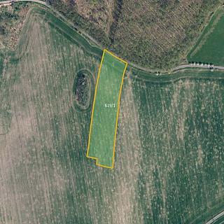 Prodej zemědělské půdy 16758 m² Třebušín