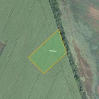 Prodej zemědělské půdy 6 328 m² Dolní Dubňany
