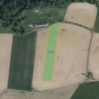 Prodej zemědělské půdy 6 132 m² Rychnov nad Kněžnou Jámy