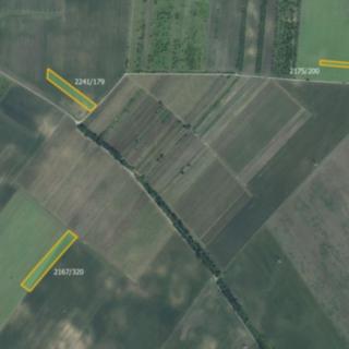 Prodej zemědělské půdy 22 192 m² Hrušky