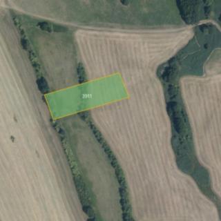 Prodej zemědělské půdy 5653 m² Nový Malín