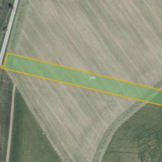 Prodej zemědělské půdy 6 000 m² Číhošť
