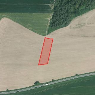 Prodej zemědělské půdy 2 760 m² Blížejov