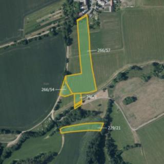 Prodej zemědělské půdy 9 308 m² Bílá Lhota Pateřín