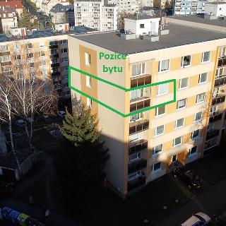 Prodej bytu 3+1 75 m² Liberec, Na Perštýně