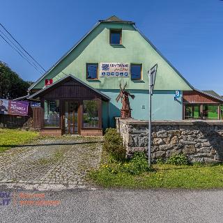 Prodej hotelu a penzionu 429 m² Velké Losiny, Rudé armády