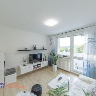 Prodej bytu 2+1 55 m² Zábřeh, Nerudova