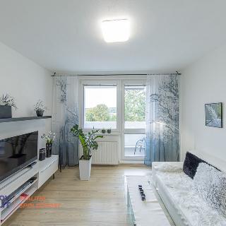 Prodej bytu 2+1 55 m² Zábřeh, Nerudova