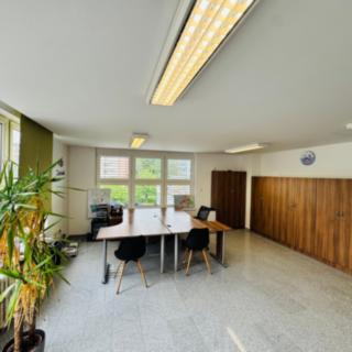 Pronájem kanceláře 37 m² Zábřeh, Valová