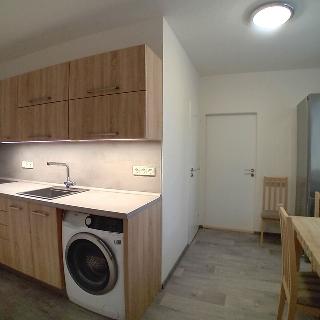 Pronájem bytu 3+1 71 m² Zábřeh, Jana Welzla