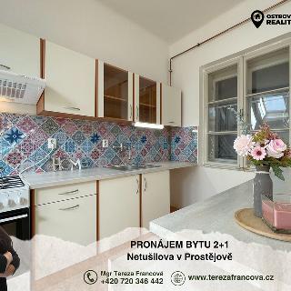 Pronájem bytu 2+1 80 m² Prostějov, Netušilova