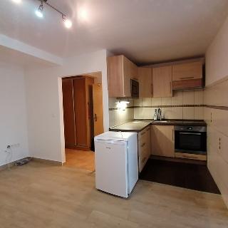 Pronájem bytu 1+kk a garsoniéry 30 m² Zábřeh, U Horního rybníka