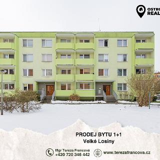 Prodej bytu 1+1 36 m² Velké Losiny, sídl. U papírny